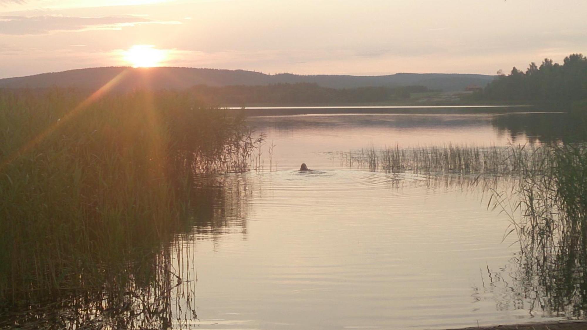 Roeda Stugan Hedemora ภายนอก รูปภาพ